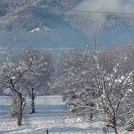 зозуля Villa *