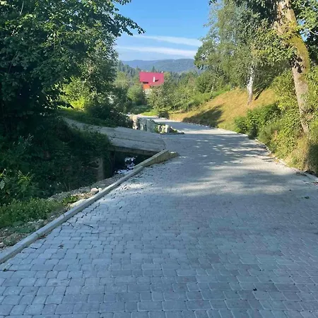 зозуля * Mikuliczyn